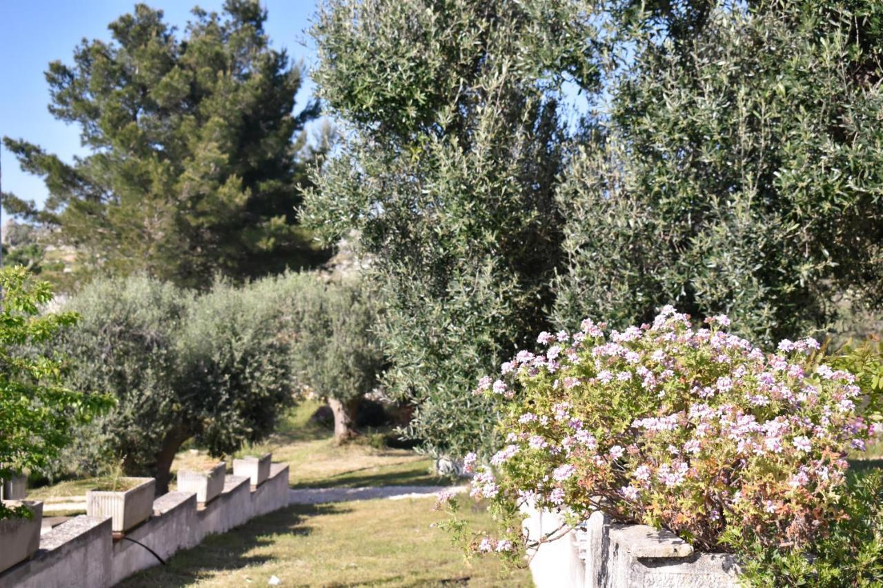Terre D'Amore - For Couples Ξενοδοχείο Ostuni Εξωτερικό φωτογραφία