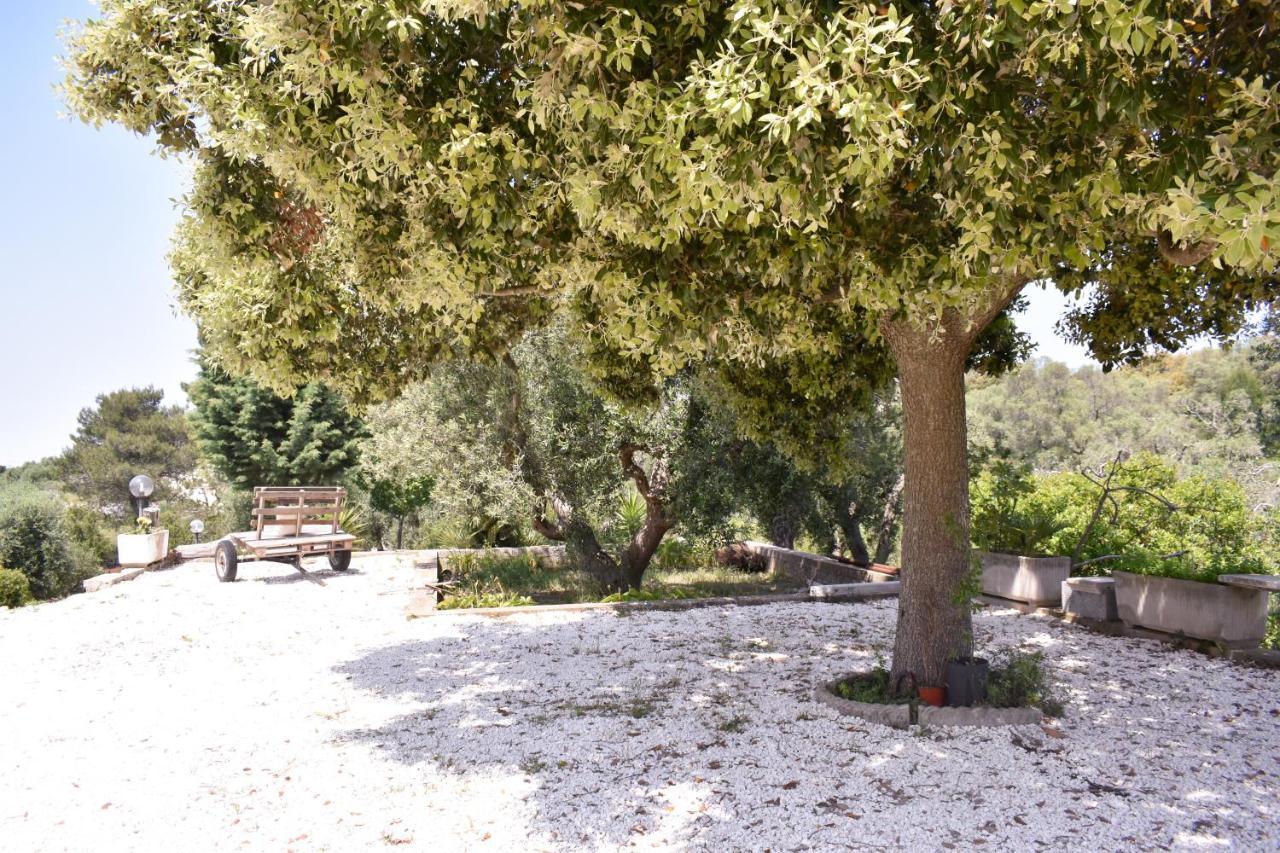 Terre D'Amore - For Couples Ξενοδοχείο Ostuni Εξωτερικό φωτογραφία