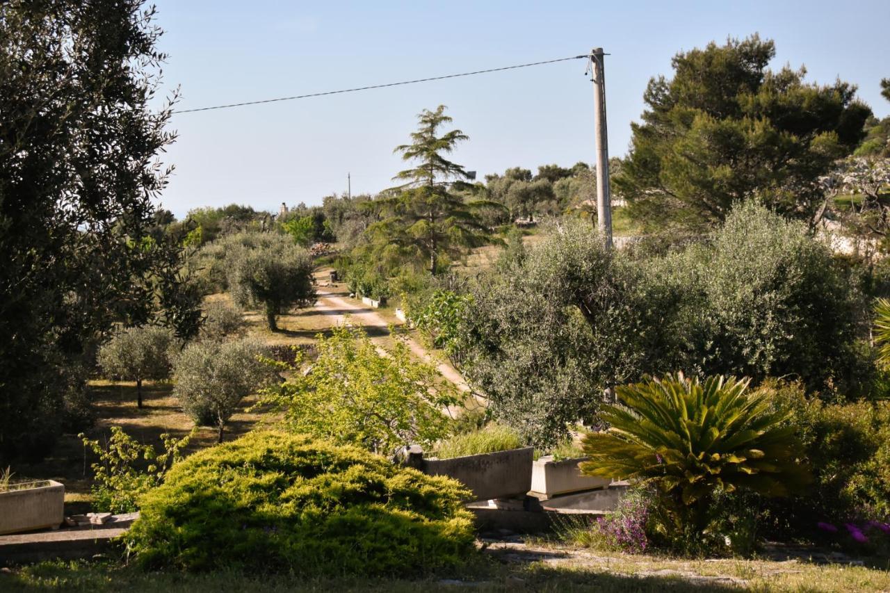 Terre D'Amore - For Couples Ξενοδοχείο Ostuni Εξωτερικό φωτογραφία
