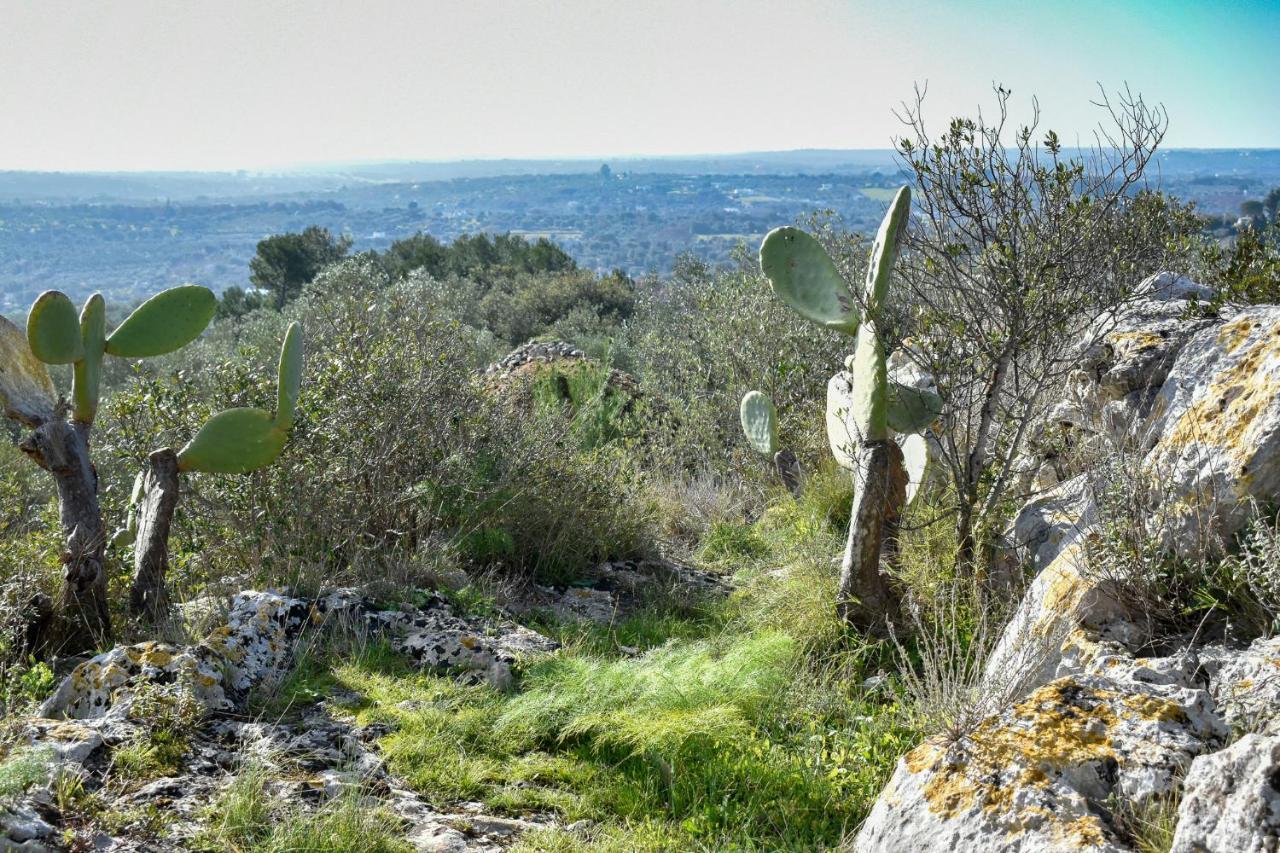 Terre D'Amore - For Couples Ξενοδοχείο Ostuni Εξωτερικό φωτογραφία