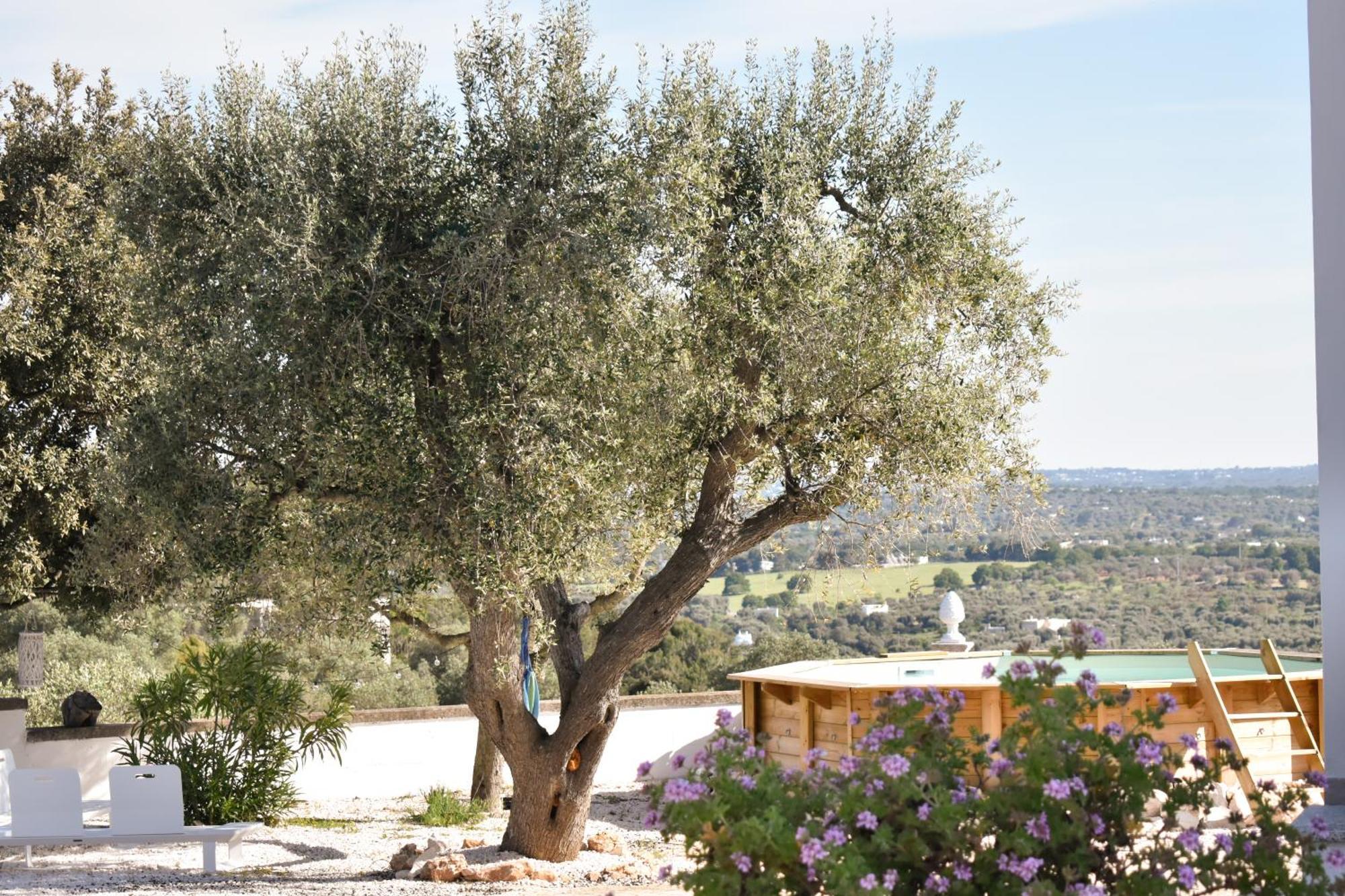 Terre D'Amore - For Couples Ξενοδοχείο Ostuni Εξωτερικό φωτογραφία